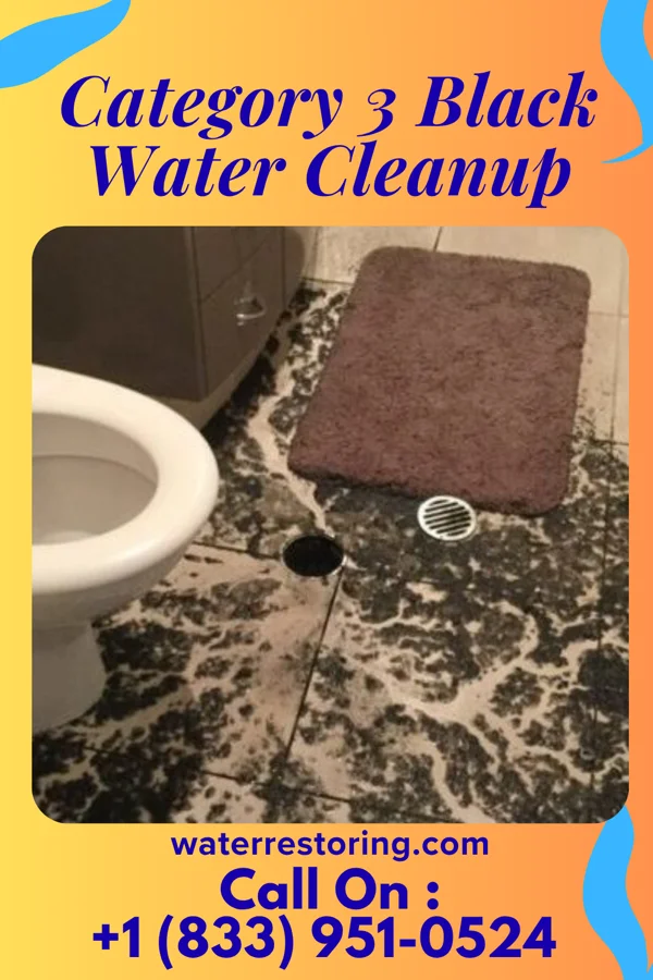 Category 3 Black Water Cleanup in Timmonsville, SC