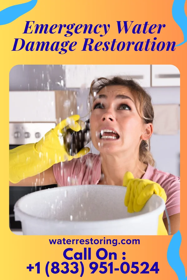 Emergency Water Damage Restoration in Timmonsville, SC