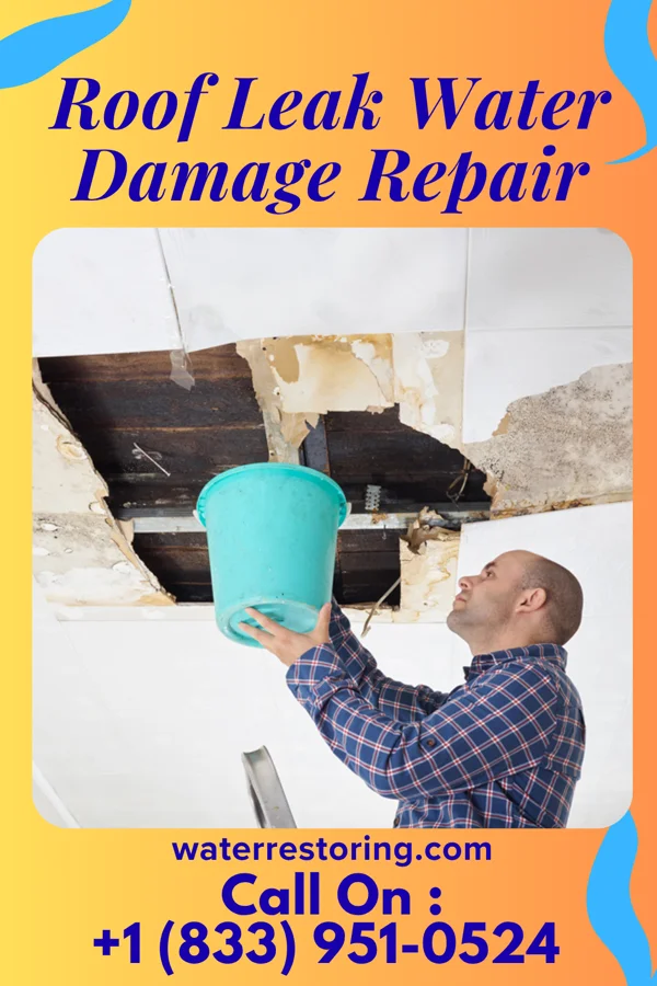 Roof Leak Water Damage Repair in Timmonsville, SC